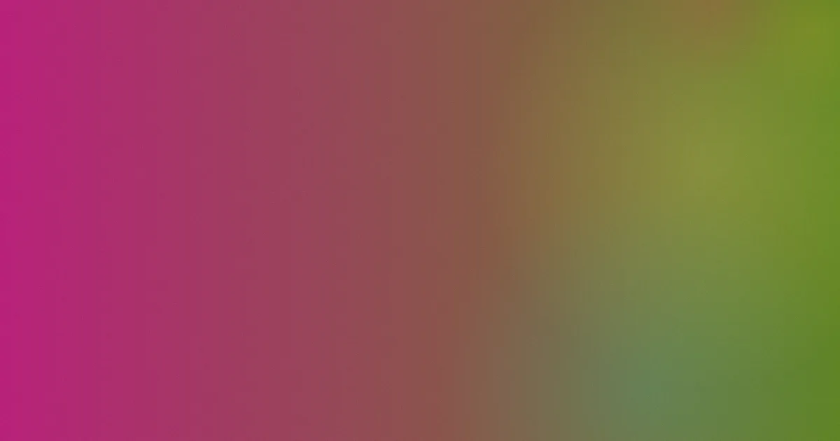 久久e推荐：新手怎么选